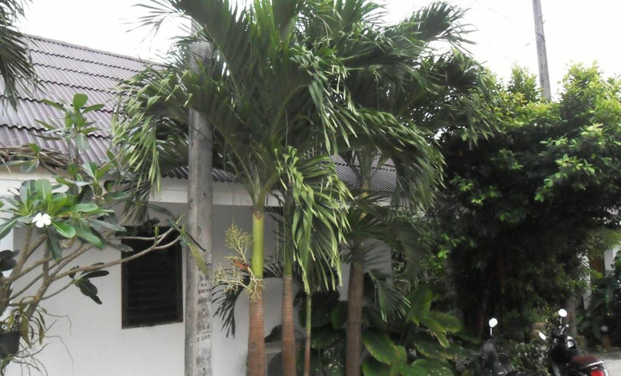 Aonang Sr Bungalows Ao Nang Kültér fotó
