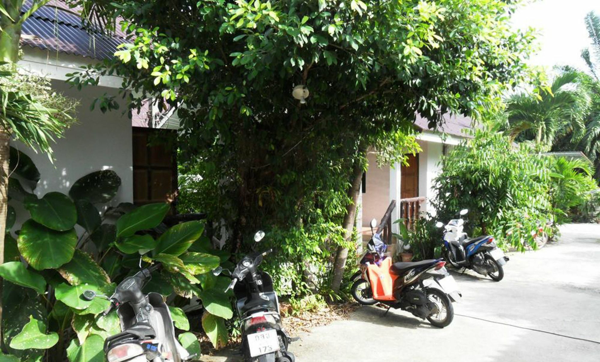 Aonang Sr Bungalows Ao Nang Kültér fotó